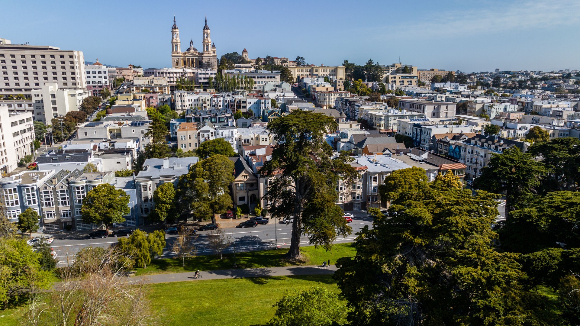 San Francisco Panhandle Neighborhood